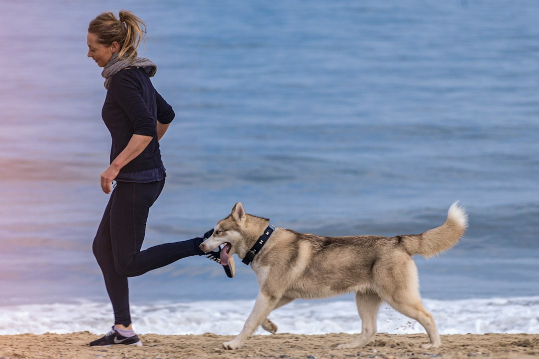 Hur kommer man igång med löpning tillsammans med sin hund? illustration
